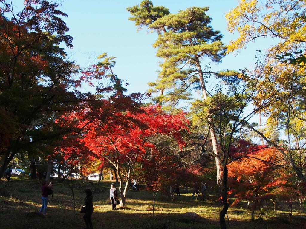 Inn Yokotei Nagatoro  Buitenkant foto